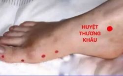 Vị trí của huyệt Thương Khâu