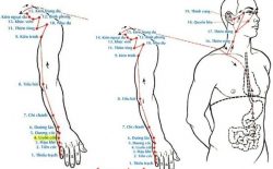 Huyệt Uyển Cốt