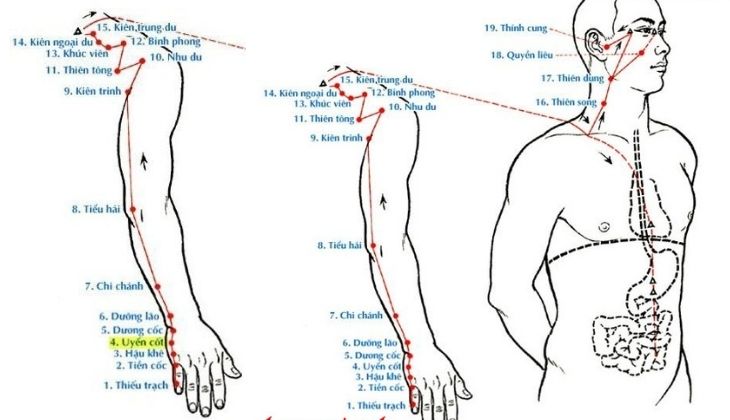 Huyệt Uyển Cốt