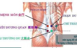 Huyệt Yêu Dương Quan