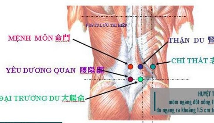 Huyệt Yêu Dương Quan