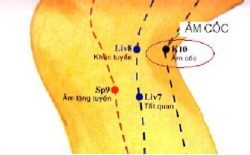 Huyệt Âm Cốc nằm ở đâu? Công năng và cách tác động hiệu quả