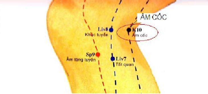 Huyệt Âm Cốc nằm ở đâu? Công năng và cách tác động hiệu quả