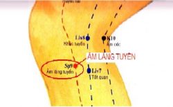Huyệt Âm Lăng Tuyền nằm ở đâu? Tác dụng và cách châm cứu