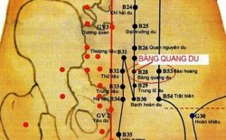 Vị trí huyệt bàng quang du và những công dụng với sức khỏe