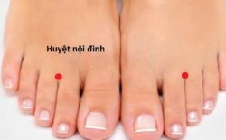 Huyệt Nội Đình là gì? Vị trí, tác dụng và cách bấm, châm cứu