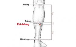 Huyệt Phi Dương nằm ở đâu? Công dụng và cách tác động vào huyệt