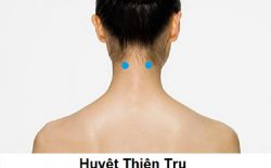Huyệt Thiên Trụ nằm ở đâu? Tác dụng và cách thức tác động