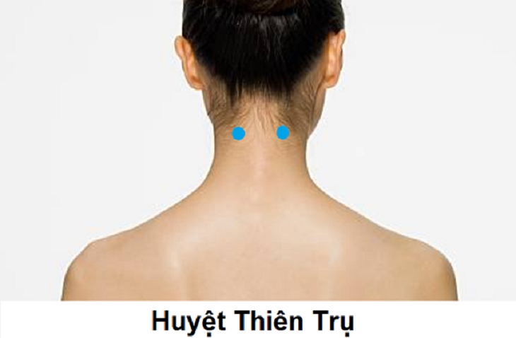 Huyệt Thiên Trụ nằm ở đâu? Tác dụng và cách thức tác động