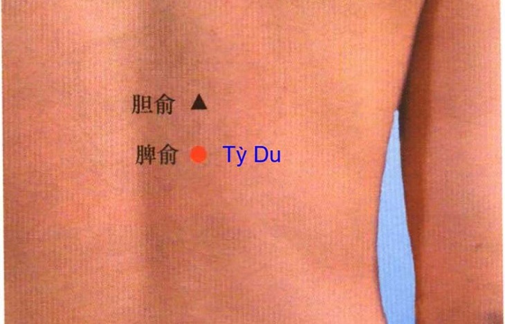 Huyệt Tỳ Du: Vị trí, tác dụng và cách tác động chính xác