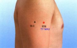 Huyệt Tý Nhu là huyệt gì? Cách châm cứu, bấm huyệt chữa bệnh