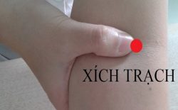 Huyệt Xích Trạch: Vị trí, công năng và cách thức tác động