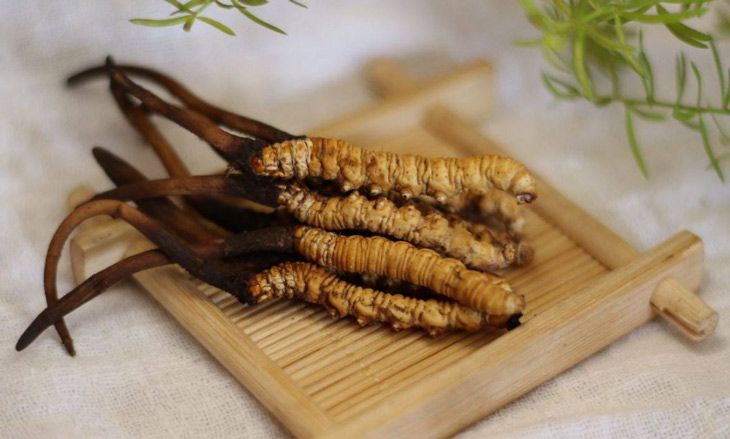 Chuyên gia giải đáp thắc mắc bà bầu có dùng được đông trùng hạ thảo không?