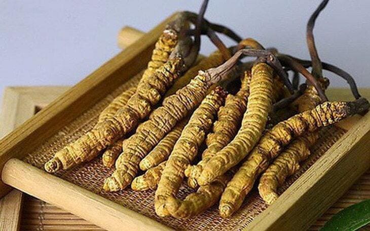 Đông trùng hạ thảo nguyên con là gì? Công dụng và cách dùng và địa chỉ mua uy tín số 1 hiện nay