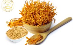 Đông trùng hạ thảo dạng bột - Ưu, nhược điểm và cách dùng hiệu quả