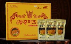 7+ loại đông trùng hạ thảo hộp gỗ sang trọng, món quà sức khỏe ý nghĩa