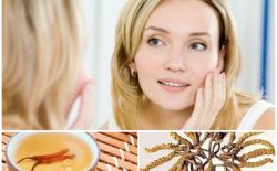 Kem đông trùng hạ thảo là gì? Top 7 sản phẩm tốt nhất hiện nay
