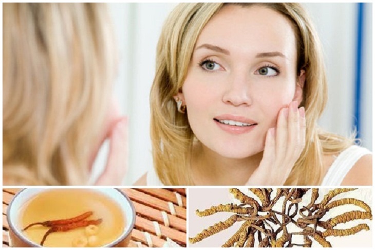Kem đông trùng hạ thảo là gì? Top 7 sản phẩm tốt nhất hiện nay