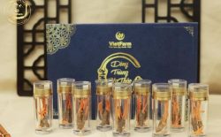 Bật mí top 9 địa chỉ mua đông trùng hạ thảo chất lượng uy tín hàng đầu