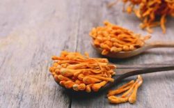 Gợi ý top 7+ địa chỉ mua đông trùng hạ thảo Hà Nội uy tín nhất