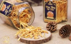 Top 10 địa chỉ mua đông trùng hạ thảo ở TPHCM uy tín, chất lượng