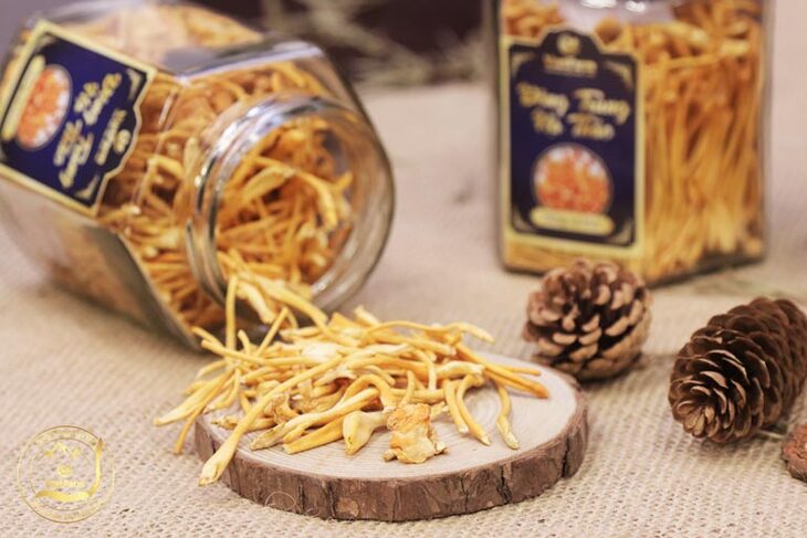 Top 10 địa chỉ mua đông trùng hạ thảo ở TPHCM uy tín, chất lượng