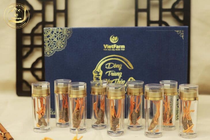 Bật mí top 9 địa chỉ mua đông trùng hạ thảo chất lượng uy tín hàng đầu