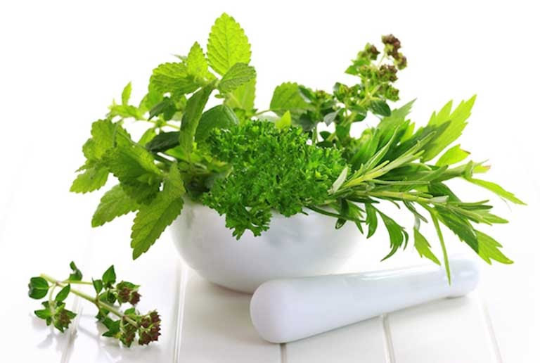 Tận dụng các loại thảo dược có sẵn trong tự nhiên chữa viêm amindan