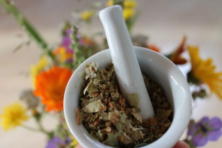 Chữa bệnh sỏi thận tại nhà