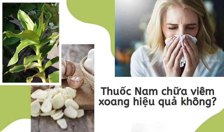 Chữa viêm xoang bằng thuốc nam là cách nhiều người áp dụng