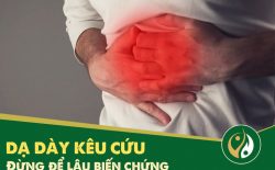 Đau dạ dày là vấn đề phổ biến ở đường tiêu hóa xảy ra với mọi đối tượng