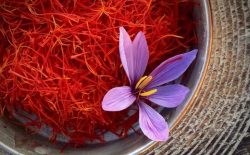 Saffron [Nhụy hoa nghệ tây] - Công dụng, cách dùng, giá bán chi tiết và địa chỉ mua uy tín