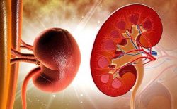 Bệnh viêm cầu thận có thể gặp ở mọi đối tượng