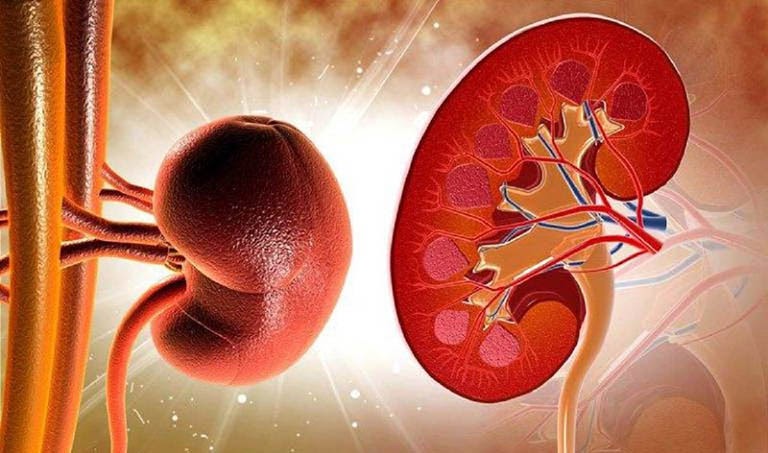 Bệnh viêm cầu thận có thể gặp ở mọi đối tượng