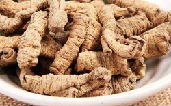 Ba kích ngâm rượu chữa yếu sinh lý hiệu quả
