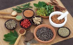 [TOP 10+] Bài thuốc nam trị trào ngược dạ dày từ tinh hoa YHCT