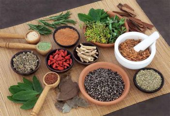 [TOP 10+] Bài thuốc nam trị trào ngược dạ dày từ tinh hoa YHCT