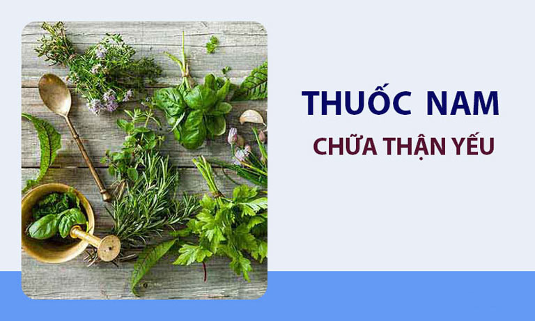Thuốc nam chữa thận yếu hiệu quả