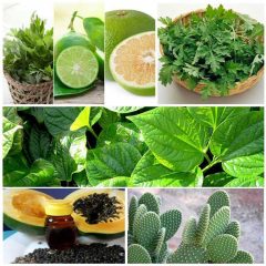 TOP 9 cách chữa gai cột sống hiệu quả nhất