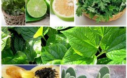 TOP 9 cách chữa gai cột sống hiệu quả nhất