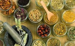Bài thuốc Đông y chữa mất ngủ không gây tác dụng phụ