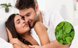 Điểm danh các cách chữa yếu sinh lý bằng lá lốt đơn giản tại nhà