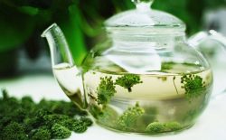 Hoa taHoa tam thất bắc được sử dụng nhiều trong bài thuốc chữa mất ngủm thất bắc được sử dụng nhiều trong bài thuốc chữa mất ngủHoa tam thất bắc được sử dụng nhiều trong bài thuốc chữa mất ngủ