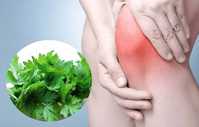 Chữa viêm khớp bằng lá ngải cứu
