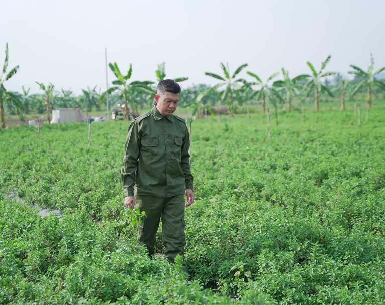 Thành phần bài thuốc chuẩn lành sạch, an toàn cho người bệnh