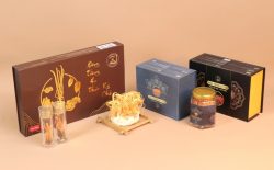 Đông trùng hạ thảo Vietfarm phát triển nhiều dòng sản phẩm trùng thảo chất lượng cao