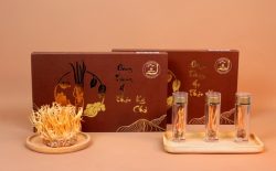 Bao bì sang trọng của sản phẩm đông trùng hạ thảo ký chủ Vietfarm