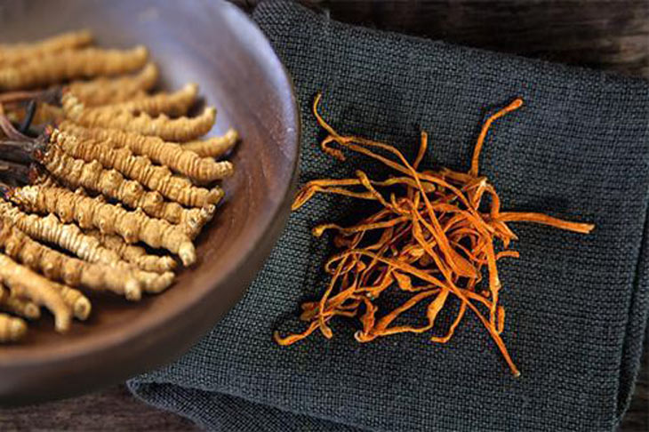 Tiêu Chí Chọn Mua Đông Trùng Hạ Thảo Hà Nội & Địa Chỉ Bán Tốt Nhất