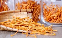 Đông Trùng Hạ Thảo Khô: Công Dụng, Cách Dùng, Giá Bán, Địa Chỉ Mua