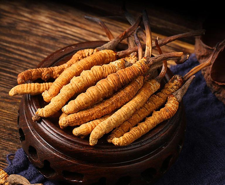 Top 10+ Tác Dụng Của Đông Trùng Hạ Thảo Và Địa Chỉ Mua Uy Tín